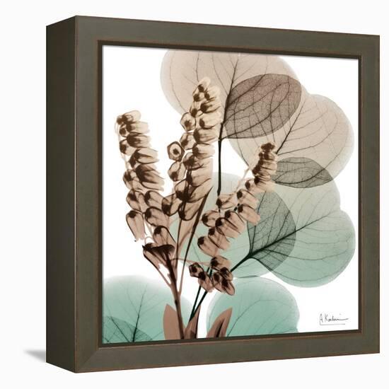 Oasis Eucalyptus 1-Albert Koetsier-Framed Stretched Canvas