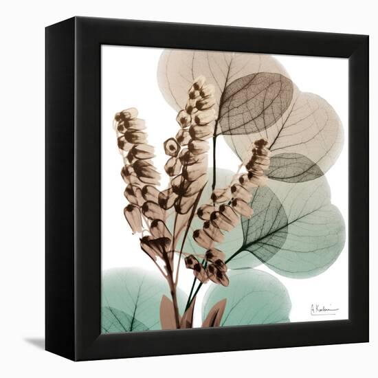 Oasis Eucalyptus 1-Albert Koetsier-Framed Stretched Canvas