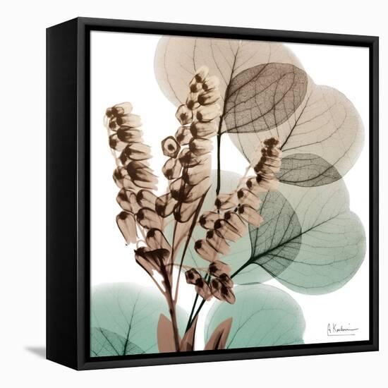 Oasis Eucalyptus 1-Albert Koetsier-Framed Stretched Canvas