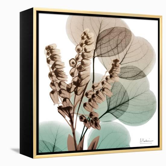 Oasis Eucalyptus 1-Albert Koetsier-Framed Stretched Canvas