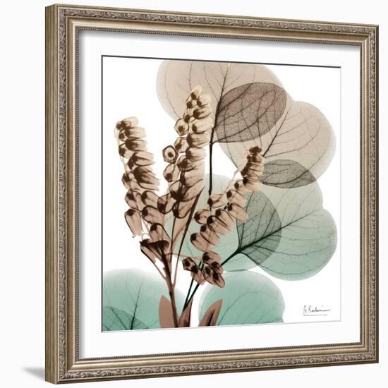 Oasis Eucalyptus 1-Albert Koetsier-Framed Photographic Print