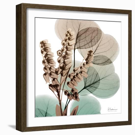 Oasis Eucalyptus 1-Albert Koetsier-Framed Photographic Print