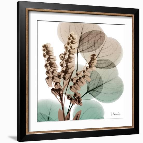 Oasis Eucalyptus 1-Albert Koetsier-Framed Photographic Print