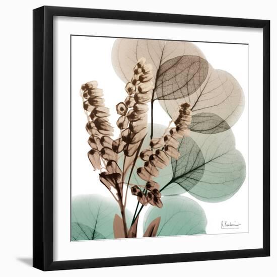 Oasis Eucalyptus 1-Albert Koetsier-Framed Photographic Print