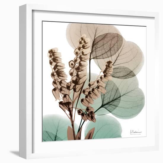 Oasis Eucalyptus 1-Albert Koetsier-Framed Photographic Print