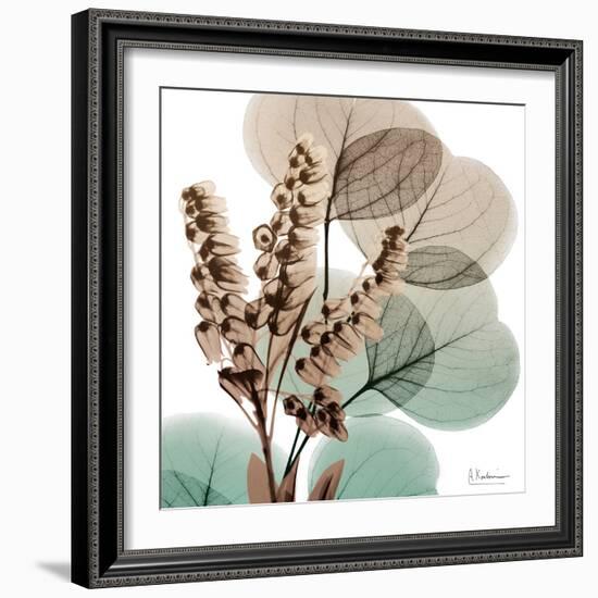 Oasis Eucalyptus 1-Albert Koetsier-Framed Photographic Print