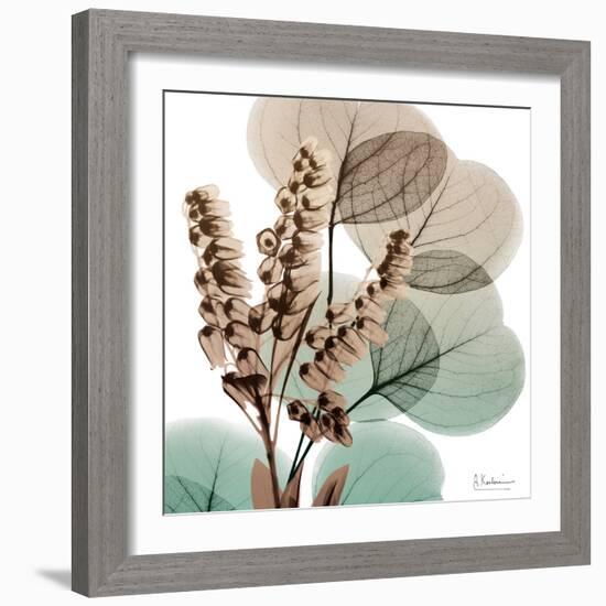 Oasis Eucalyptus 1-Albert Koetsier-Framed Photo