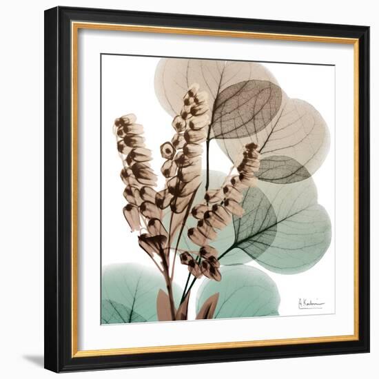 Oasis Eucalyptus 1-Albert Koetsier-Framed Photo