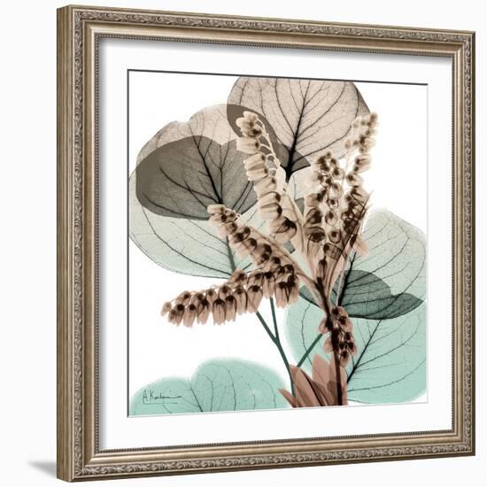 Oasis Eucalyptus 2-Albert Koetsier-Framed Photo