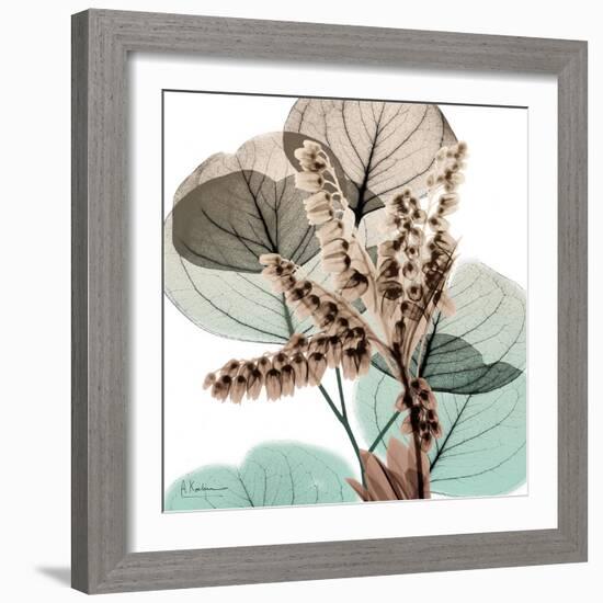 Oasis Eucalyptus 2-Albert Koetsier-Framed Photo