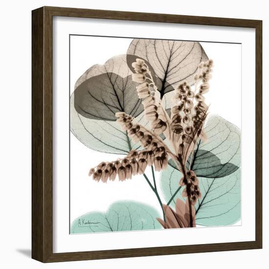 Oasis Eucalyptus 2-Albert Koetsier-Framed Photo