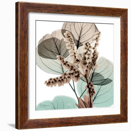 Oasis Eucalyptus 2-Albert Koetsier-Framed Photo