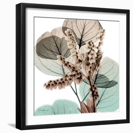 Oasis Eucalyptus 2-Albert Koetsier-Framed Photo