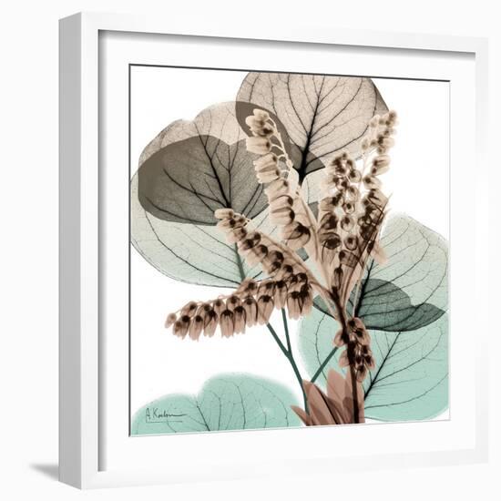 Oasis Eucalyptus 2-Albert Koetsier-Framed Photo