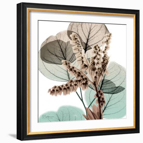 Oasis Eucalyptus 2-Albert Koetsier-Framed Photo