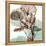 Oasis Eucalyptus 2-Albert Koetsier-Framed Stretched Canvas