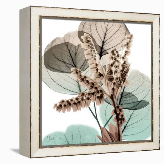 Oasis Eucalyptus 2-Albert Koetsier-Framed Stretched Canvas