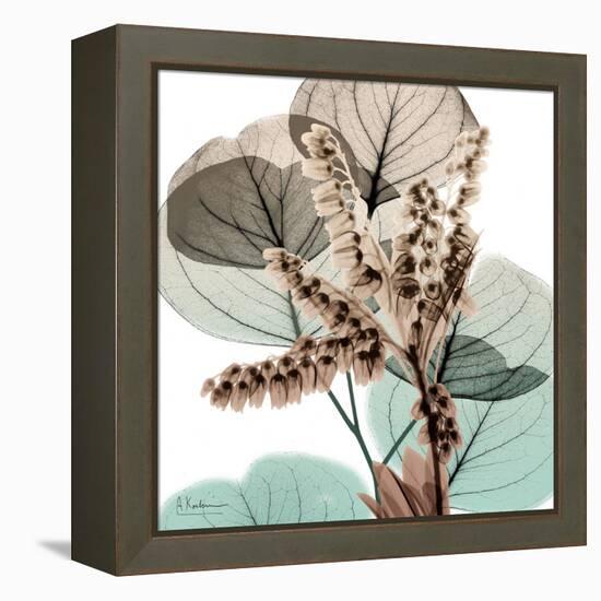 Oasis Eucalyptus 2-Albert Koetsier-Framed Stretched Canvas