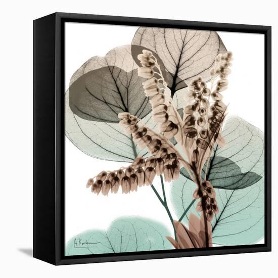 Oasis Eucalyptus 2-Albert Koetsier-Framed Stretched Canvas