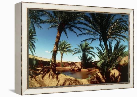 Oasis on the Road South of Adrar, Algeria-Sinclair Stammers-Framed Premier Image Canvas