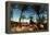 Oasis on the Road South of Adrar, Algeria-Sinclair Stammers-Framed Premier Image Canvas