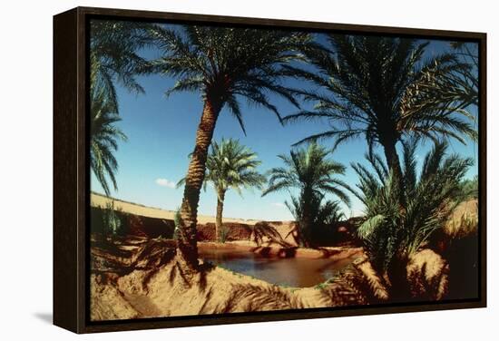 Oasis on the Road South of Adrar, Algeria-Sinclair Stammers-Framed Premier Image Canvas