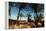 Oasis on the Road South of Adrar, Algeria-Sinclair Stammers-Framed Premier Image Canvas