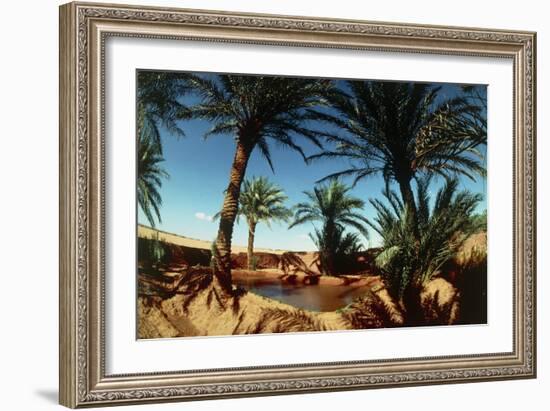 Oasis on the Road South of Adrar, Algeria-Sinclair Stammers-Framed Photographic Print