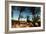 Oasis on the Road South of Adrar, Algeria-Sinclair Stammers-Framed Photographic Print