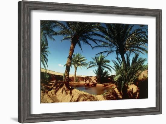 Oasis on the Road South of Adrar, Algeria-Sinclair Stammers-Framed Photographic Print