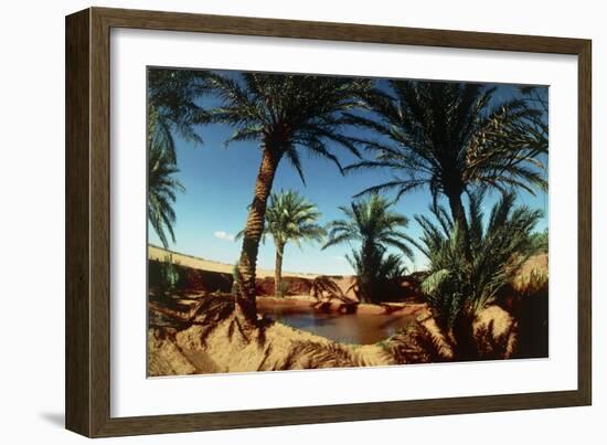 Oasis on the Road South of Adrar, Algeria-Sinclair Stammers-Framed Photographic Print