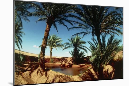 Oasis on the Road South of Adrar, Algeria-Sinclair Stammers-Mounted Photographic Print