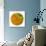 Oasis Shade Circle 1-Joy Doherty-Giclee Print displayed on a wall