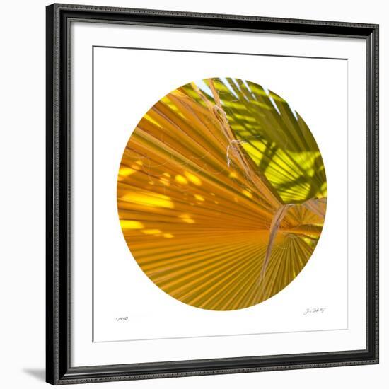 Oasis Shade Circle 1-Joy Doherty-Framed Giclee Print