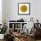 Oasis Shade Circle 1-Joy Doherty-Framed Giclee Print displayed on a wall