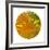 Oasis Shade Circle 1-Joy Doherty-Framed Giclee Print