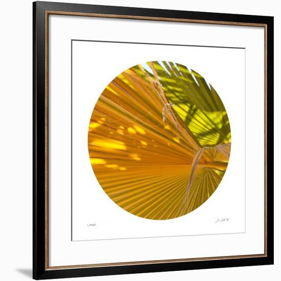 Oasis Shade Circle 1-Joy Doherty-Framed Giclee Print