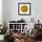 Oasis Shade Circle 1-Joy Doherty-Framed Giclee Print displayed on a wall
