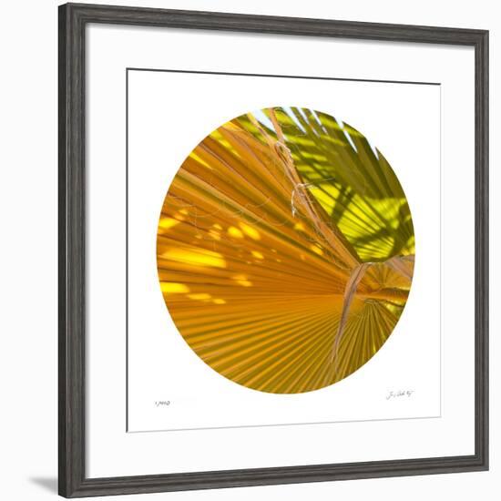 Oasis Shade Circle 1-Joy Doherty-Framed Giclee Print