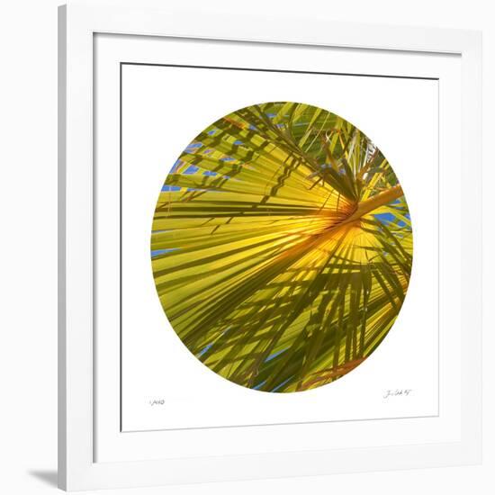 Oasis Shade Circle 2-Joy Doherty-Framed Giclee Print