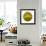 Oasis Shade Circle 2-Joy Doherty-Framed Giclee Print displayed on a wall