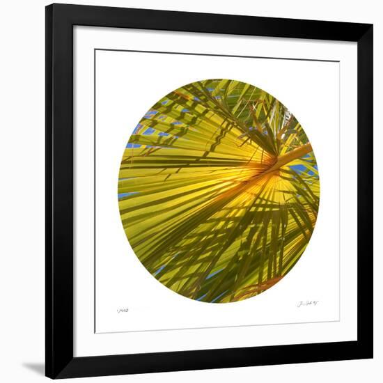 Oasis Shade Circle 2-Joy Doherty-Framed Giclee Print