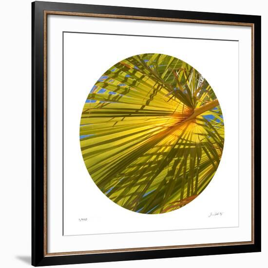 Oasis Shade Circle 2-Joy Doherty-Framed Giclee Print