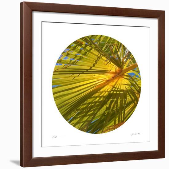 Oasis Shade Circle 2-Joy Doherty-Framed Giclee Print