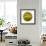 Oasis Shade Circle 2-Joy Doherty-Framed Giclee Print displayed on a wall