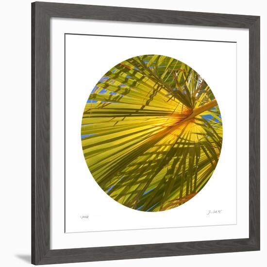 Oasis Shade Circle 2-Joy Doherty-Framed Giclee Print