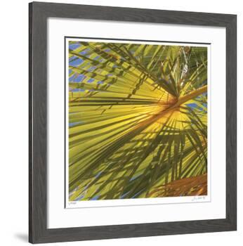 Oasis Shade Square 1-Joy Doherty-Framed Giclee Print