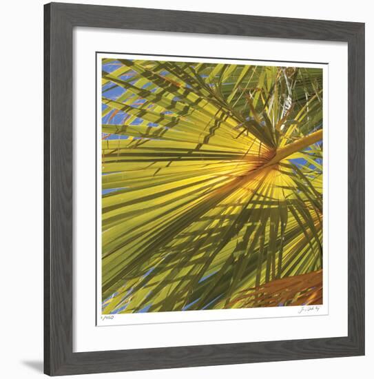 Oasis Shade Square 1-Joy Doherty-Framed Giclee Print