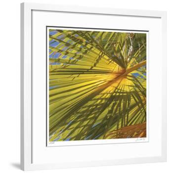 Oasis Shade Square 1-Joy Doherty-Framed Giclee Print