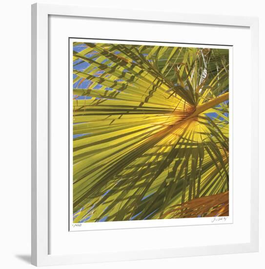 Oasis Shade Square 1-Joy Doherty-Framed Giclee Print